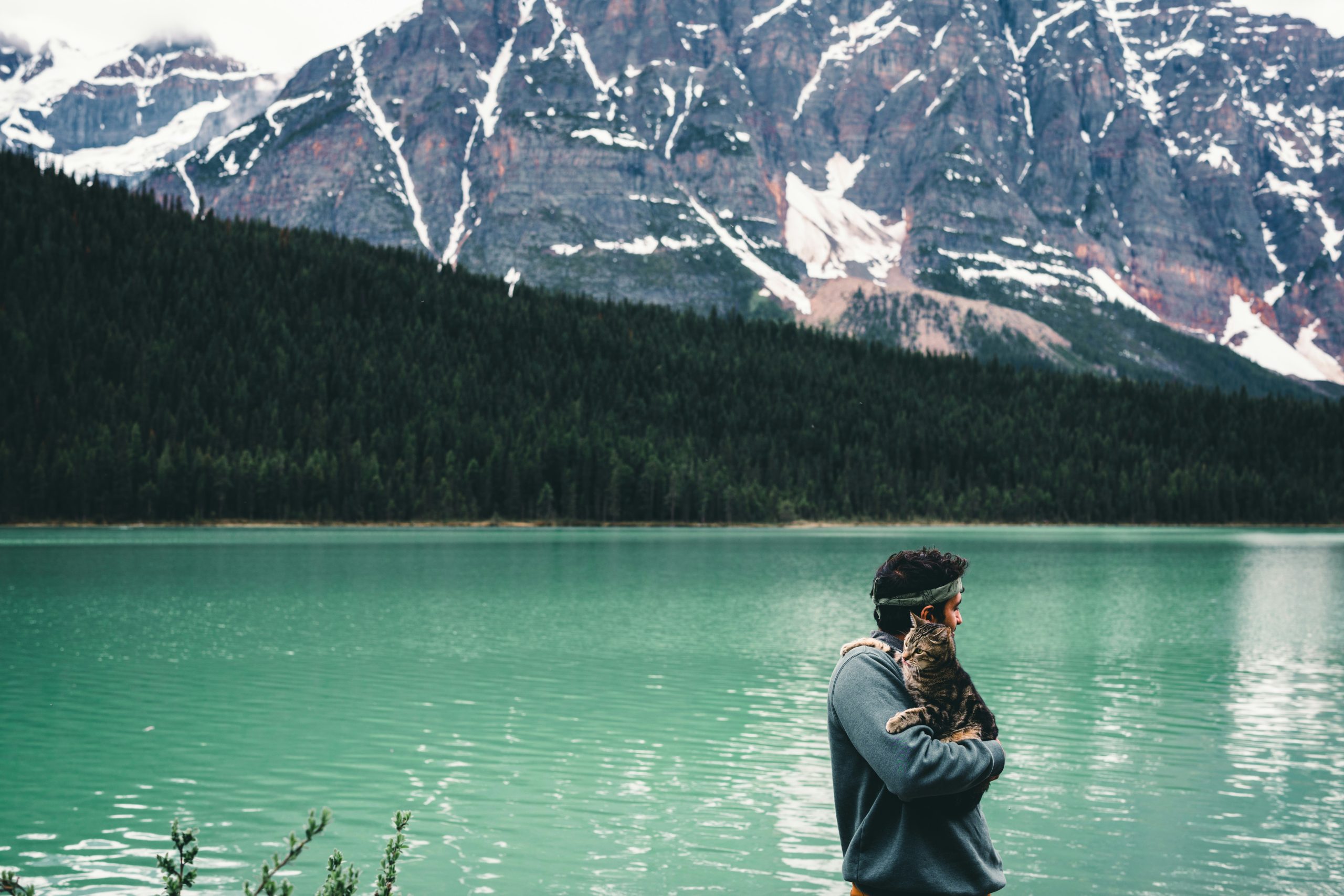 paysage de trek au Canada avec une montagne enneigée en arrière plan, une forêt dense en dessous et un lac turquoise à ses pieds. Il y a également un homme avec un bandeau sur la tête, qui porte un chat dans ses bras.